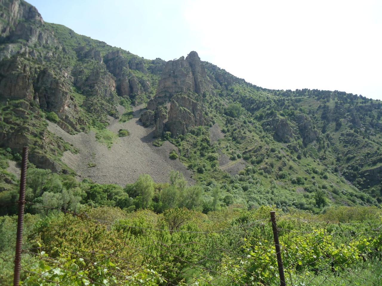 The River House Yeghegis Yekhegis 外观 照片
